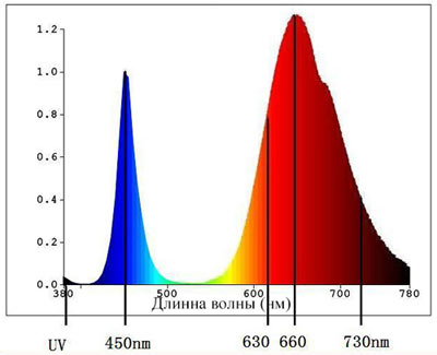 График спектра фитосветильника