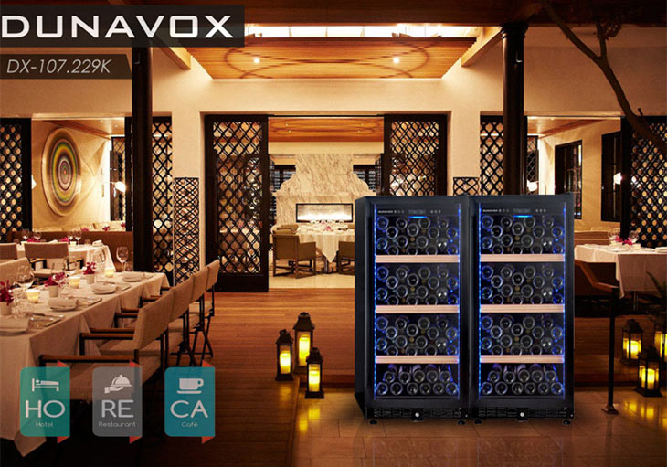 Винный шкаф Dunavox DX-107.229K